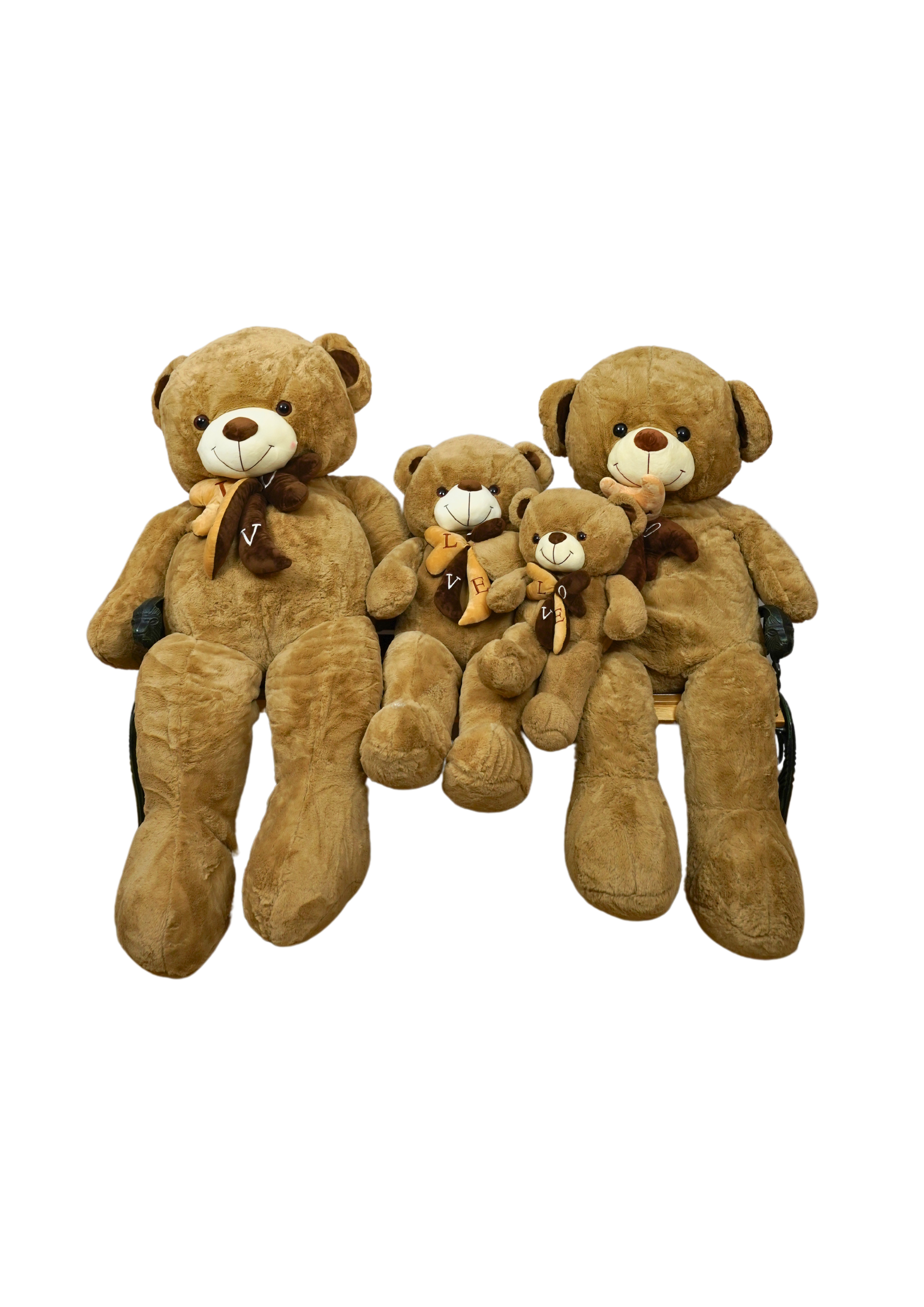Family of Brown Bears