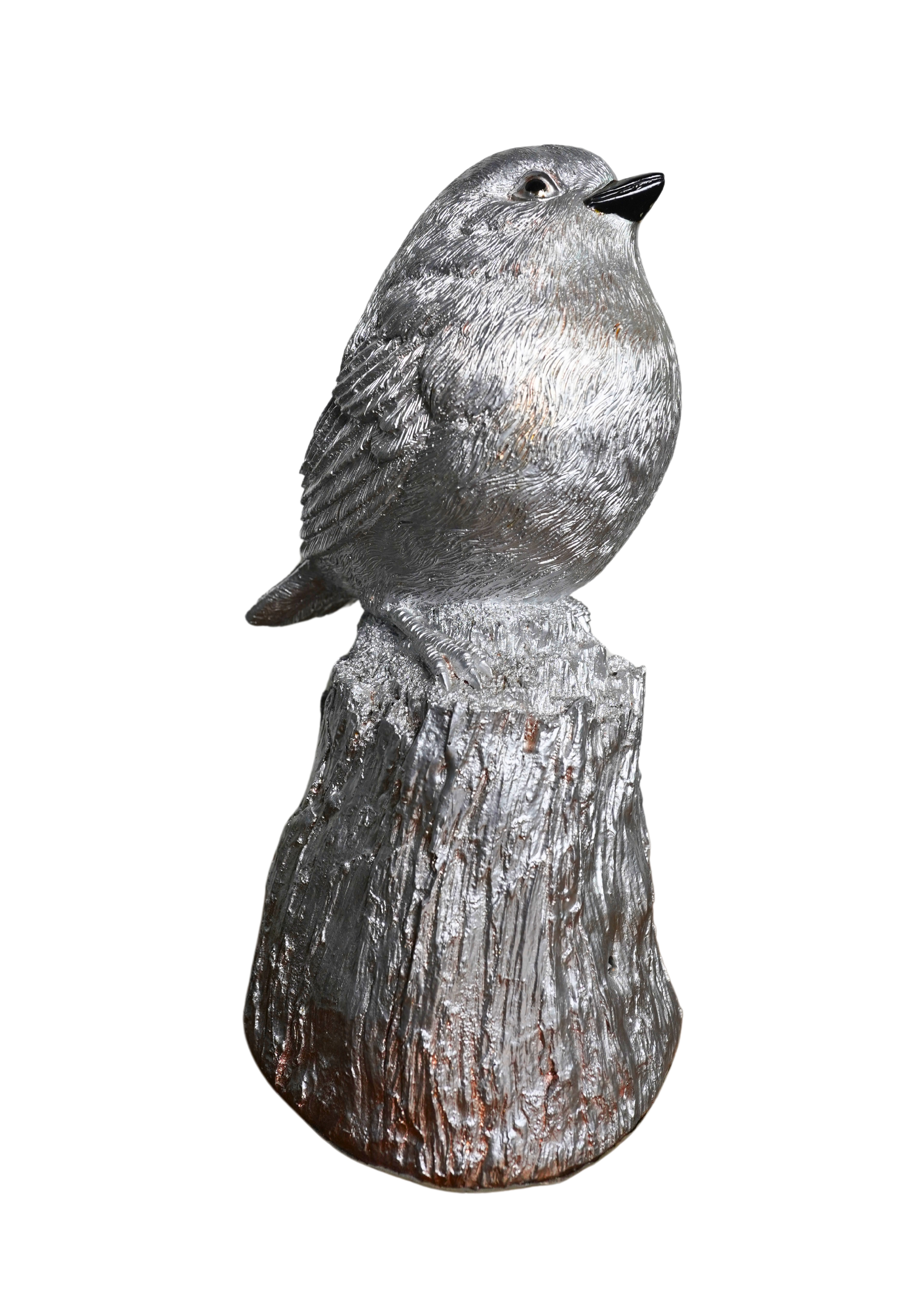 Shiny Bird